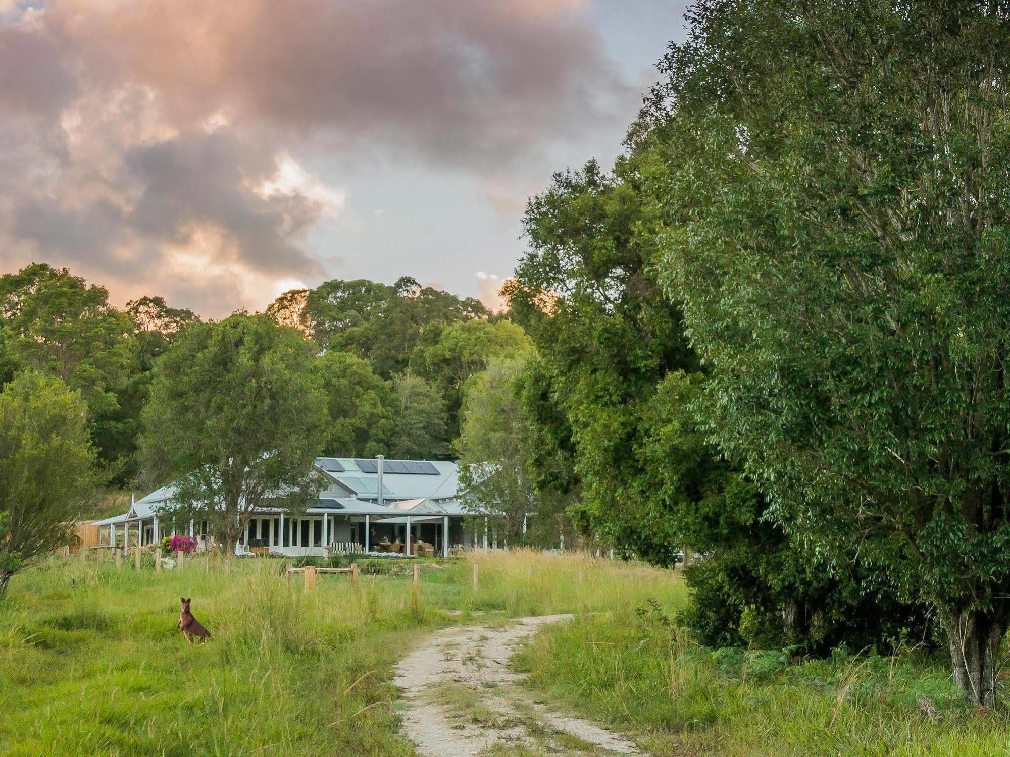 Abelia House Bed and Breakfast Μπάιρον Μπέι Εξωτερικό φωτογραφία