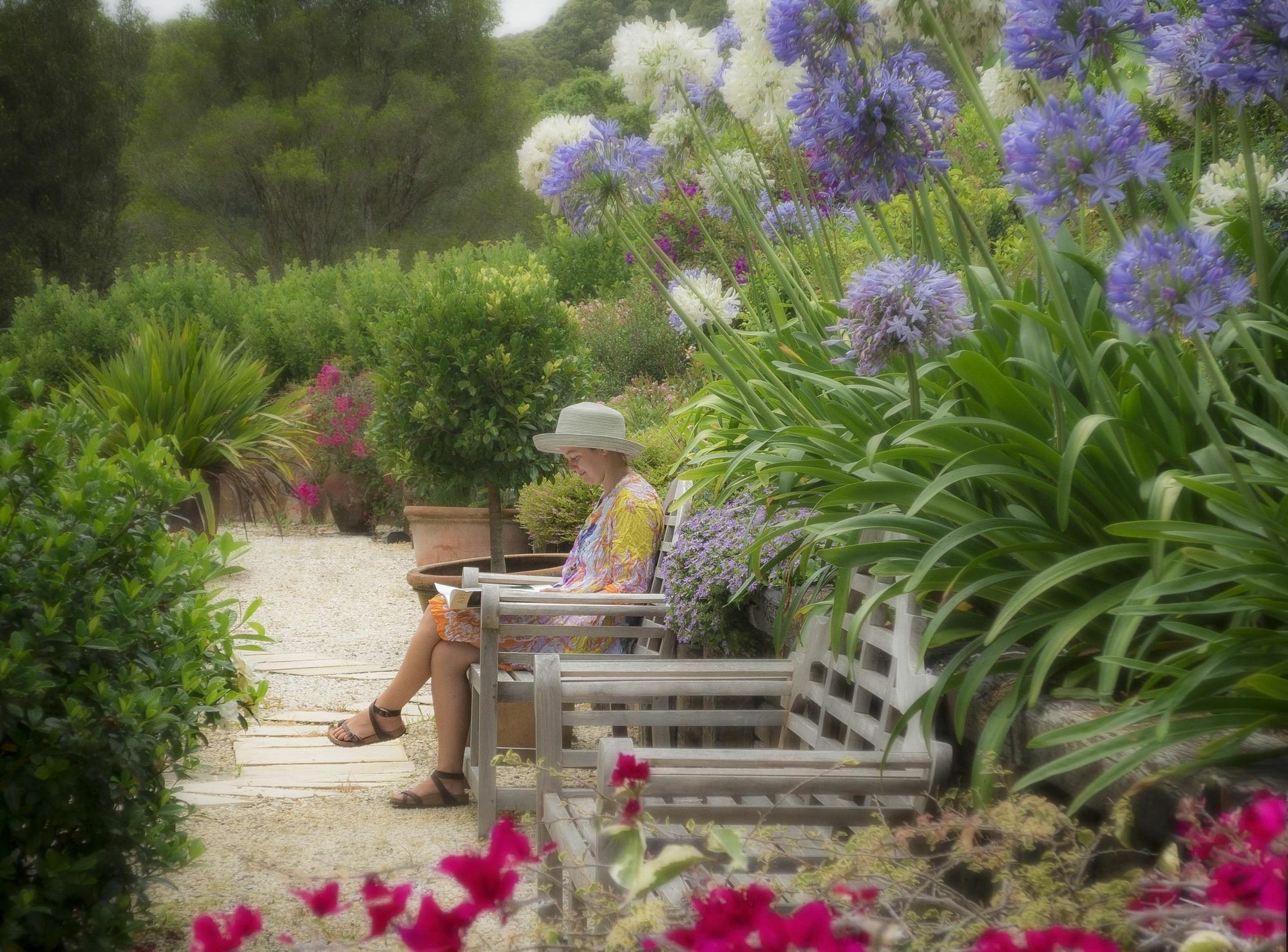 Abelia House Bed and Breakfast Μπάιρον Μπέι Εξωτερικό φωτογραφία