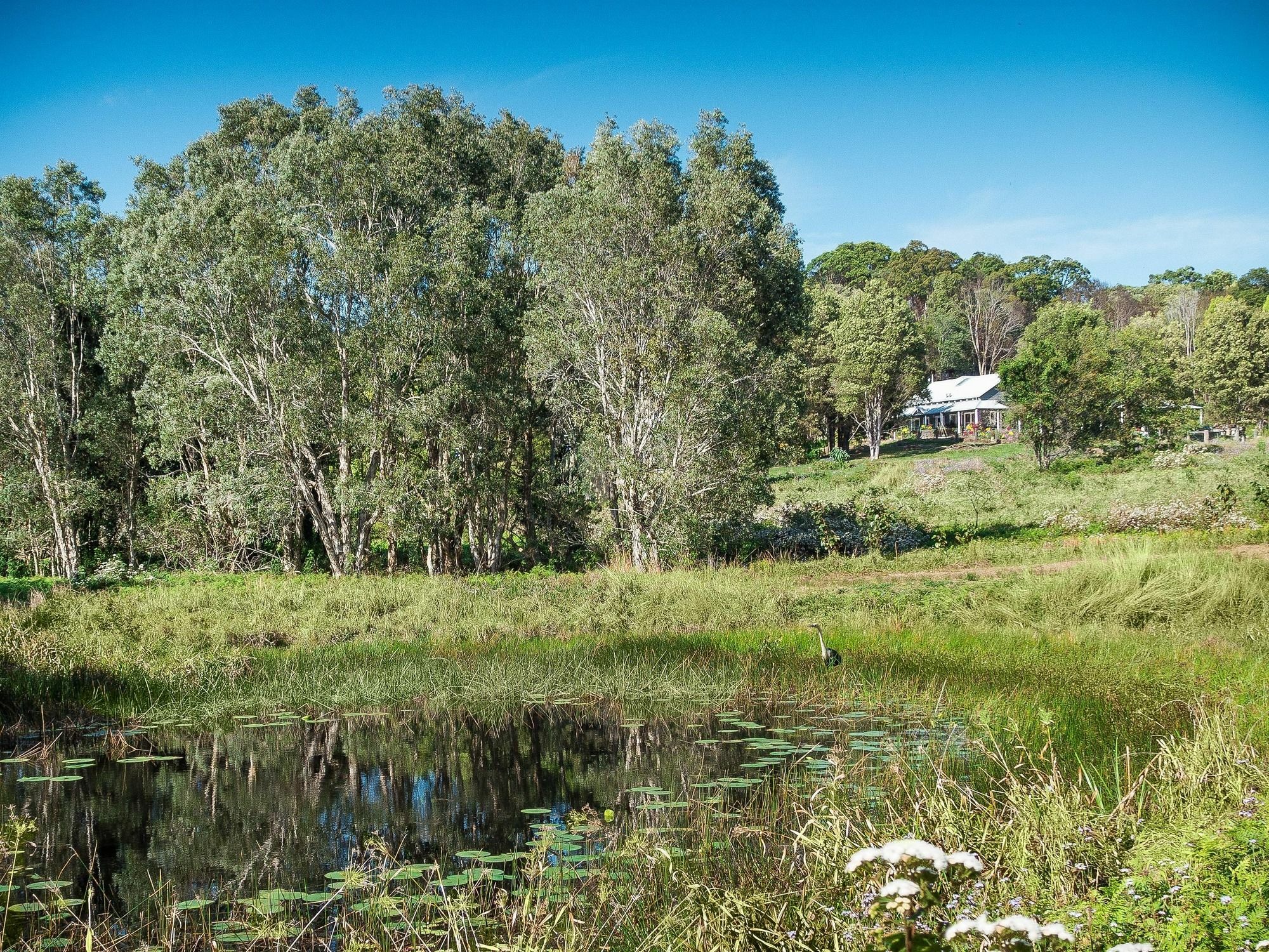 Abelia House Bed and Breakfast Μπάιρον Μπέι Εξωτερικό φωτογραφία
