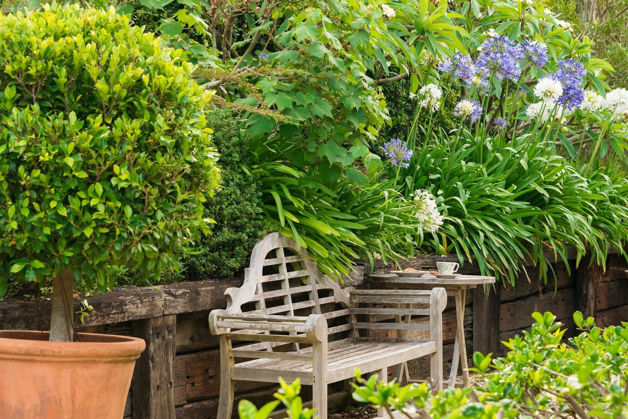 Abelia House Bed and Breakfast Μπάιρον Μπέι Εξωτερικό φωτογραφία